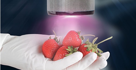 what is plasma technology for increasing shelf life of fruits 